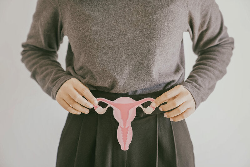 Woman holding a picture of the reproductive system
