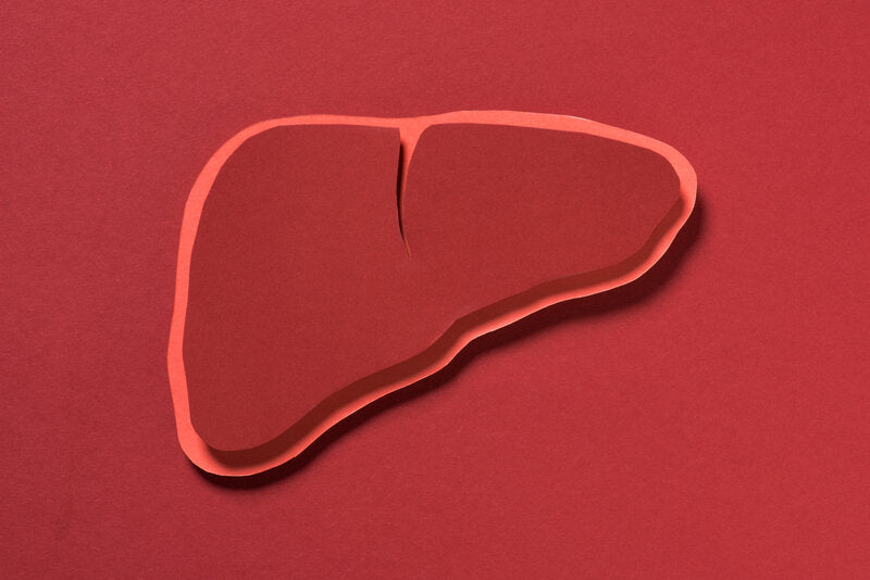 3D human liver