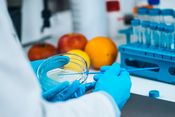 Understanding and Managing Food Sensitivities: How Lab Testing Services Can Help