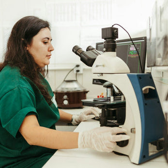 Lab Results