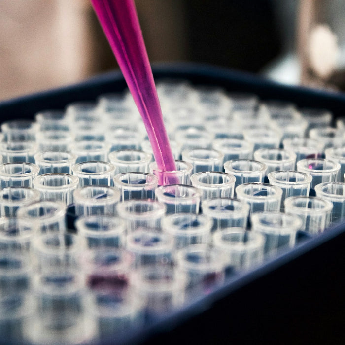 Practical Tips on How You Can Ensure Accurate Lab Results