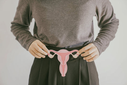 Woman holding a picture of the reproductive system