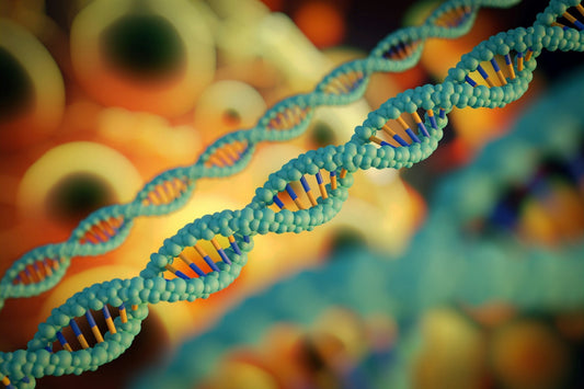dna test