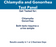 Chlamydia and Gonorrhea Test Panel