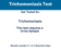 Trichomoniasis Test